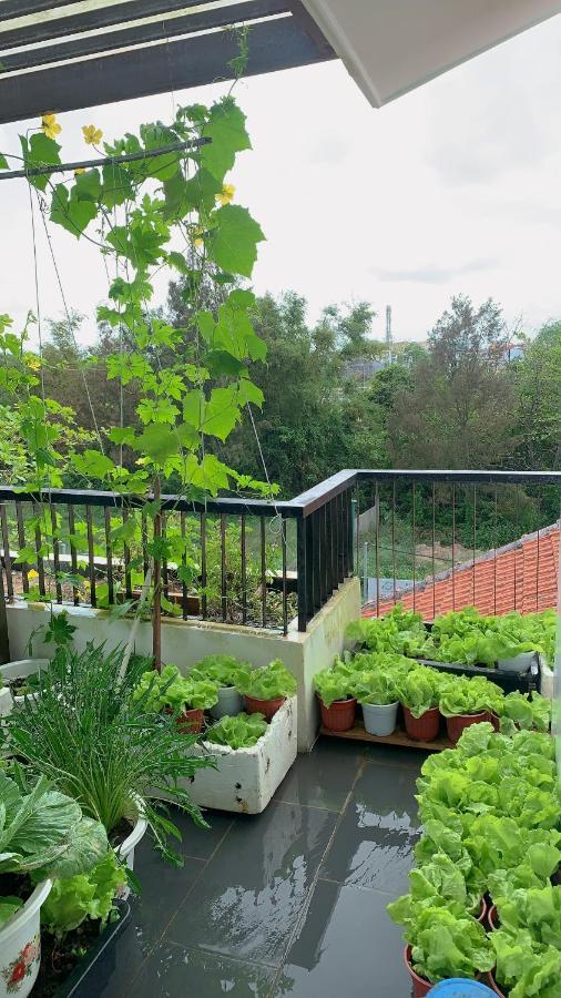 Homeland Villa 호이안 외부 사진
